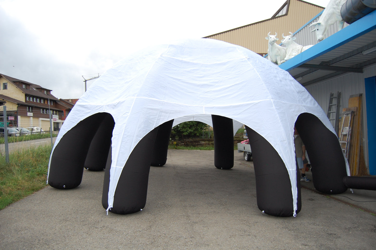 Partydom weiss leicht