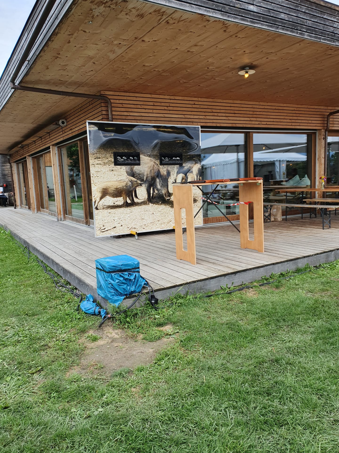 Schiessstand Sujet Wildsau