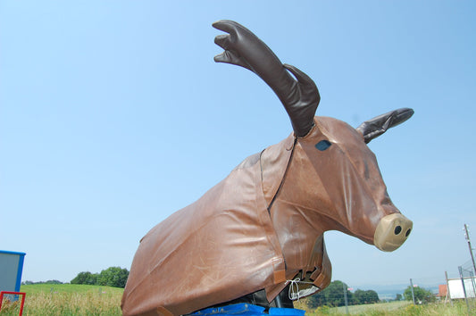 Bullriding "Elch" Rodeo - Simulator