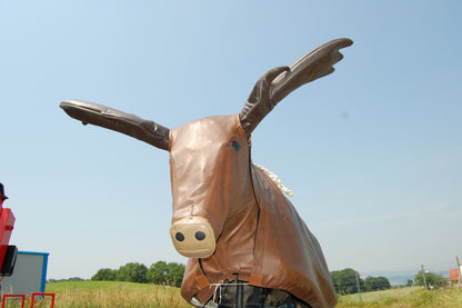 Bullriding "Elch" Rodeo - Simulator