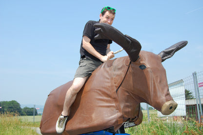 Bullriding "Elch" Rodeo - Simulator